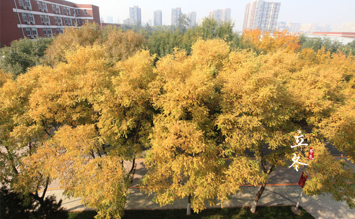 立冬:首经贸的温暖瞬间