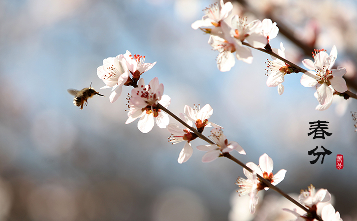 ���֣���ɫ��԰�ز�ס