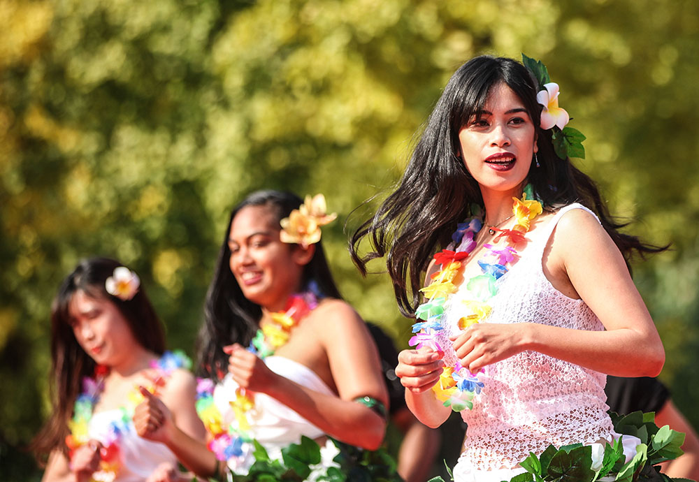 ����������Ļ���